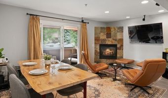 326 Midland Ave 302, Aspen, CO 81611