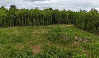 6020 Eaglewood Ln, Birchwood, TN 37308