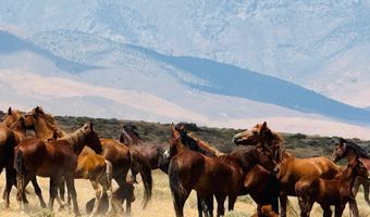 T32 Sec 25, Imlay, NV 89418