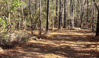 Chief Rd, Abbeville, AL 36310