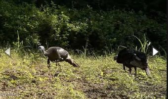 Gun Baoyu Road, Belzoni, MS 39038