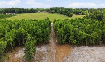 SW 188TH ST, Archer, FL 32618