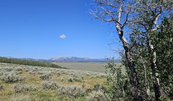 TRACK 12 ASPEN RIDGE Road, Daniel, WY 83115