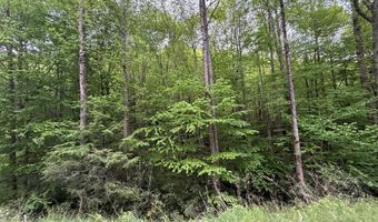 2 Lots Warrior Way Road Lot 11 & 15, Andrews, NC 28781