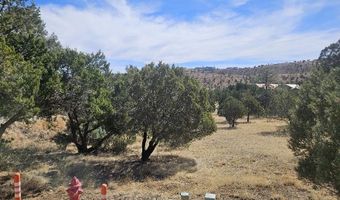 Deer Valley Drive 4, Alto, NM 88312