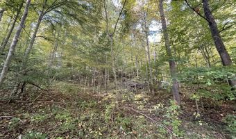 462 Lake View Dr, Barbourville, KY 40906