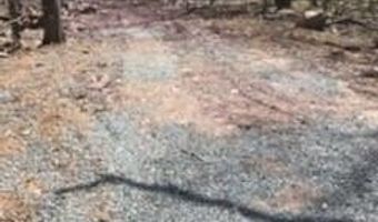 Cree Trail, Albrightsville, PA 18210