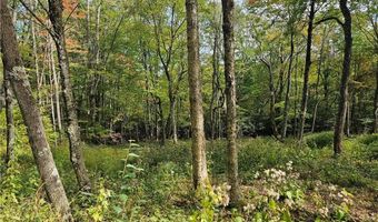 Lot 29 Lee Gualtney Road, Banner Elk, NC 28604