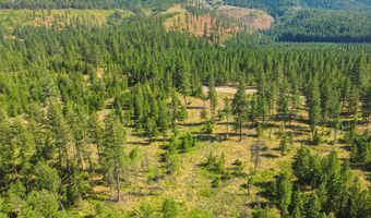 NNA Poirier Rd, Blanchard, ID 83804