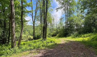 0 Woodland Hills Rd, Andes, NY 13731