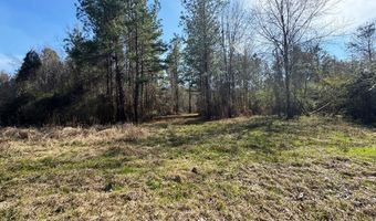 000 Mt Pleasant Ln SE, Bogue Chitto, MS 39629
