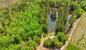 TBD Alligator Road, Bamberg, SC 29843