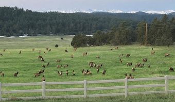 24030 County Rd 43.6, Aguilar, CO 81020