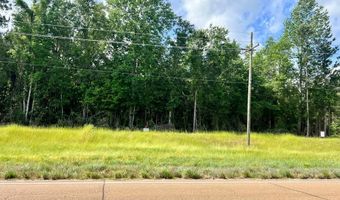 LOT 8 HWY 24, Centreville, MS 39631