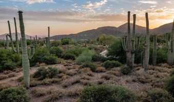 41927 N SAGUARO FOREST Dr 107, Scottsdale, AZ 85262