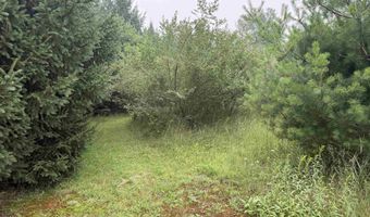 20 Acres E M-30 Hwy, Alger, MI 48610