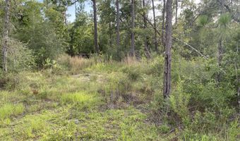Putnam Avenue lot 30, Alford, FL 32420
