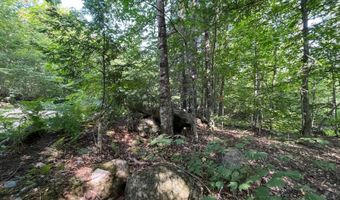 1695 Washburn Rd, Alexandria, NH 03222