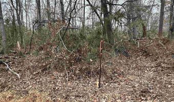 ELLY RD lot 50 81, Aroda, VA 22709