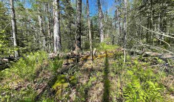 Map 202-Lot 39 Parker Road, Bethlehem, NH 03574