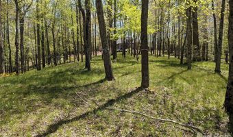 27 Woodtrail Way, Arden, NC 28704