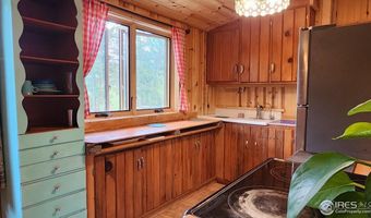256 Fisk Fenner Rd, Allenspark, CO 80510