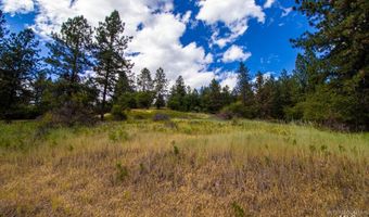 0 Whitetail Dr, Ahsahka, ID 83520