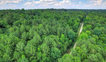 Cypress Point Lane lot 6, Beech Island, SC 29842