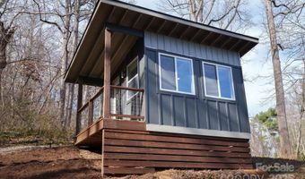 24 Lower Grassy Branch Rd, Asheville, NC 28805
