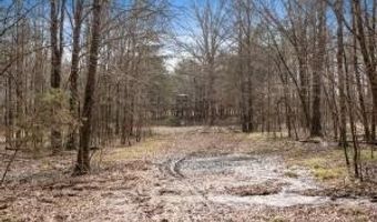 000 Hwy 105, Atkins, AR 72823