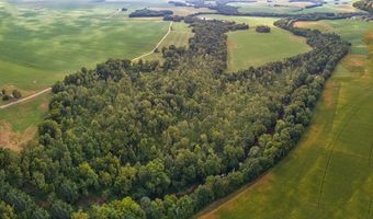 13 93 Acres Conn Rd, Adairville, KY 42206