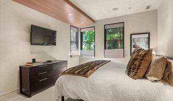 939 E Cooper Ave B, Aspen, CO 81611