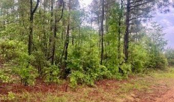 450 Apple Trl, Bogue Chitto, MS 39629