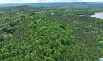 COLVIN SPRINGS ROAD 6, Ashville, AL 35953
