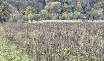 401 Duncan Rd, Alvaton, KY 42122