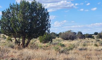 1483 County Road 5270, Concho, AZ 85924