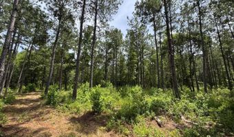 Fox Paw Court, Branchville, SC 29432