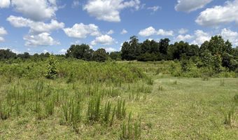 Beauty Hill Rd lot 3, Bethel Springs, TN 38315