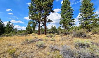 Swan Drive 16 & 17, Bonanza, OR 97623