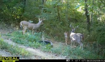 9096 State Route 41, Aberdeen, OH 45101