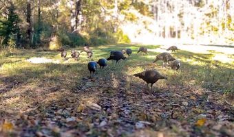 Franklin Dr, Batesville, MS 38606