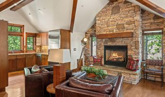 503 W Main St B202, Aspen, CO 81611