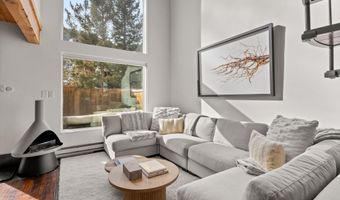 1024 E Cooper Avenue 3a, Aspen, CO 81611