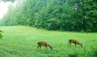 4492 US-78, Tallapoosa, GA 30176