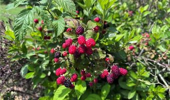 315 Woody Rd NW, Adairsville, GA 30103