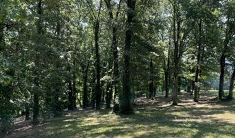 141 Twin Church Rd, Bean Station, TN 37708