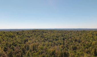 County Road 204, Alton, MO 65606