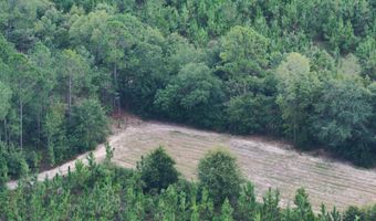 4601 Seven Pines Rd Lot 4 & 1, Barnwell, SC 29812