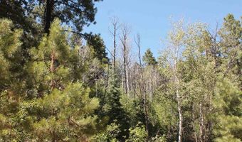 140 Jackalope Dr, Bayfield, CO 81122