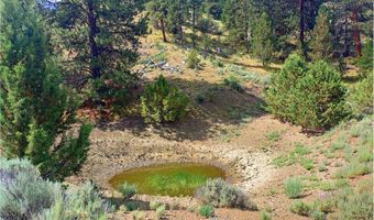 12142 Burns-Izee Rd, Seneca, OR 97873
